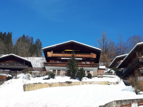 Gondelblick, Alpbach, Österreich